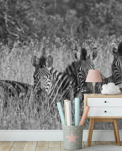 Zebras Huddled Together Wall Mural Zebras Huddled Together Wall Mural