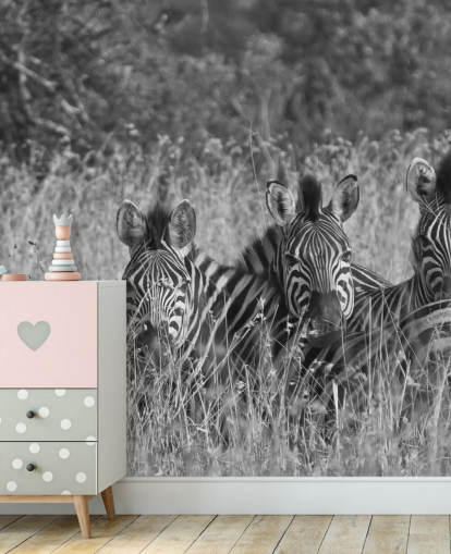 Zebras Huddled Together Wall Mural