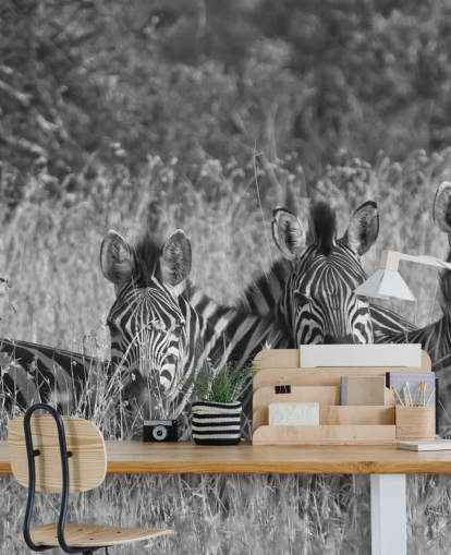 Zebras zusammengekauert Fototapete