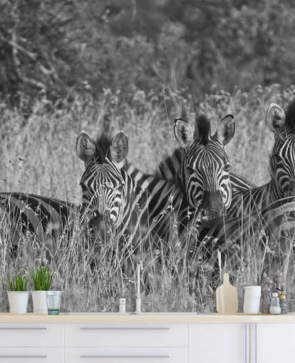 Zebras Huddled Together Wall Mural