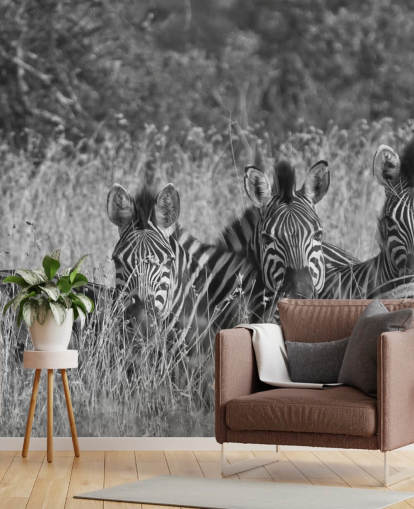 Zebras Huddled Together Wall Mural