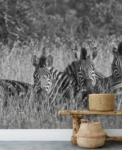 Mural de parede de zebras amontoadas