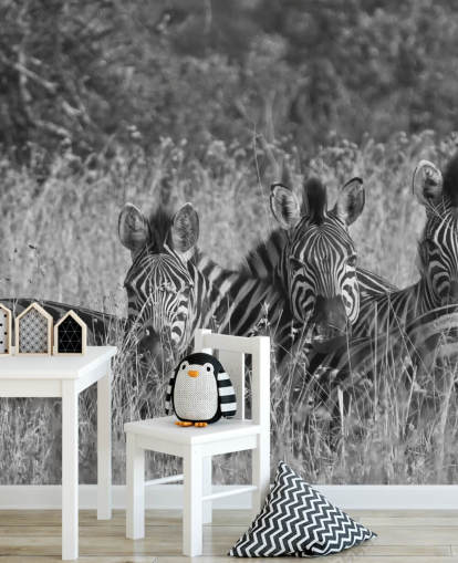 Zebras zusammengekauert Fototapete Zebras zusammengekauert Fototapete