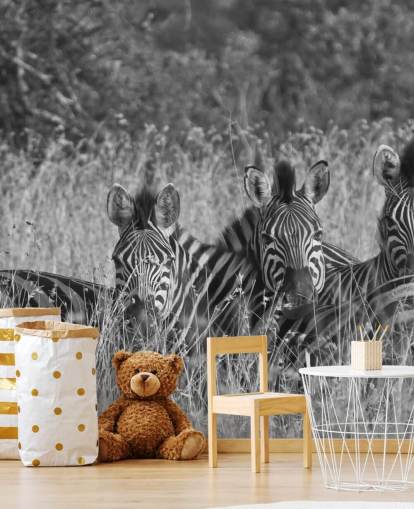 Zebras Huddled Together Wall Mural