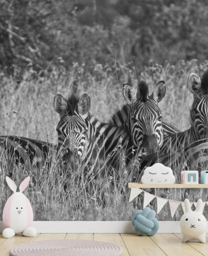 Zebras Huddled Together Wall Mural