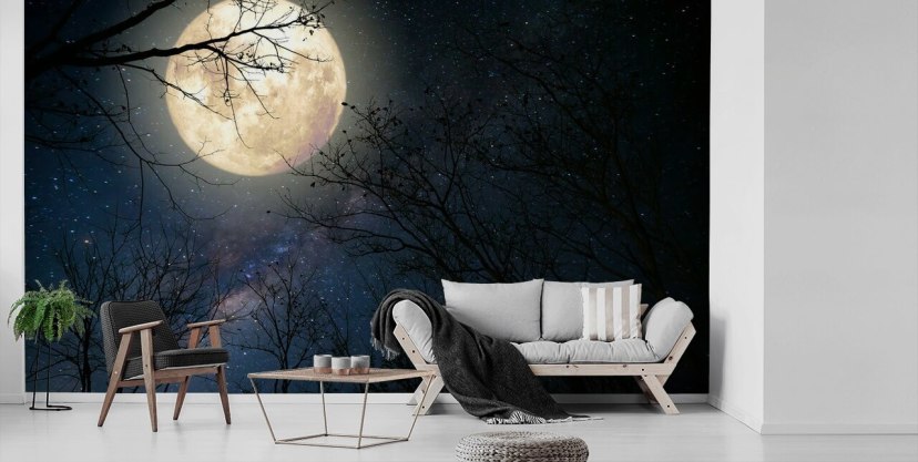 Tappezzeria Luna Con Fasi Lunari - Arazzo Decorativo Per Parete, Nero Elegante - Foto 6