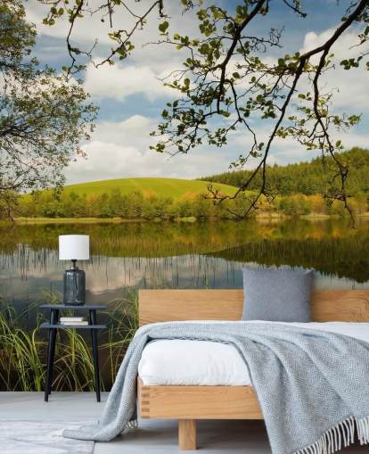 Lake in Lush Countryside Mural