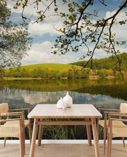 Lake in Lush Countryside Mural