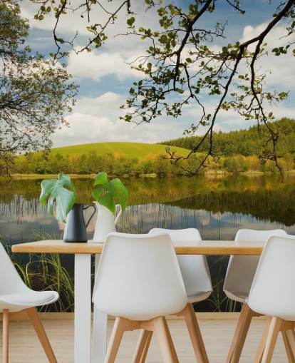 Lake in Lush Countryside Mural