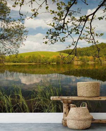 Lake i Lush Countryside Mural