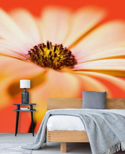 Grande carta da parati con fiori d'arancio