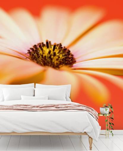 Große orange Blumentapete