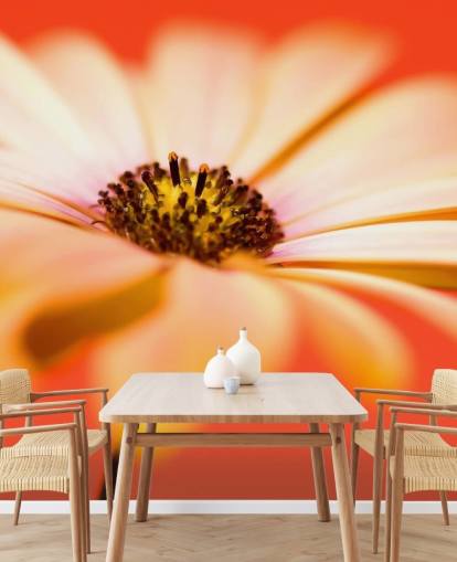 Large Orange Flower Wallpaper