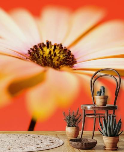 Grande carta da parati con fiori d'arancio