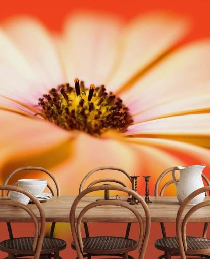 Large Orange Flower Wallpaper