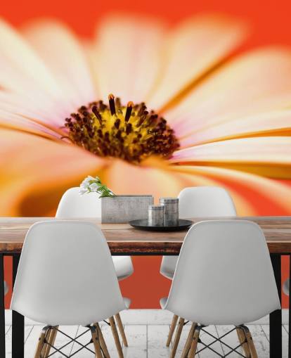 Groot oranje bloemenbehang