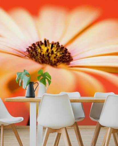 Grande carta da parati con fiori d'arancio