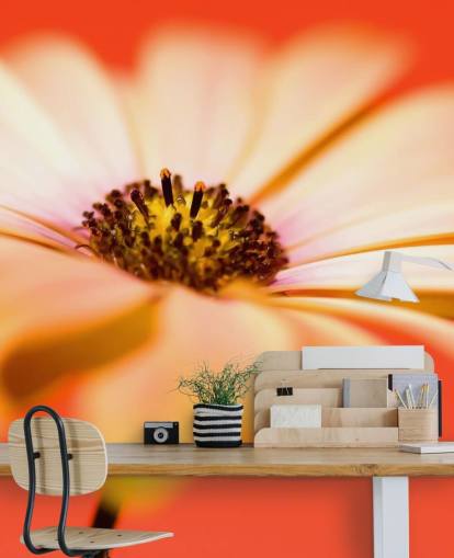 Large Orange Flower Wallpaper Large Orange Flower Wallpaper