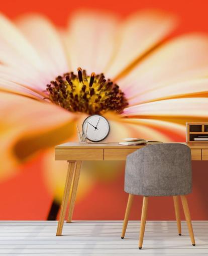 Stor orange blomma tapet