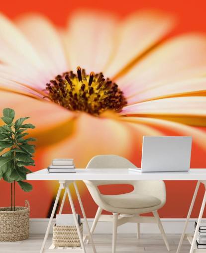 Große orange Blumentapete