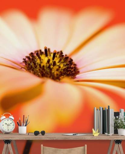 Papel de parede de flor de laranja grande