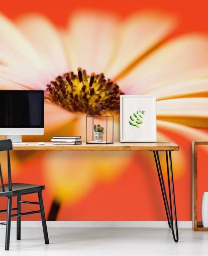 Large Orange Flower Wallpaper Large Orange Flower Wallpaper