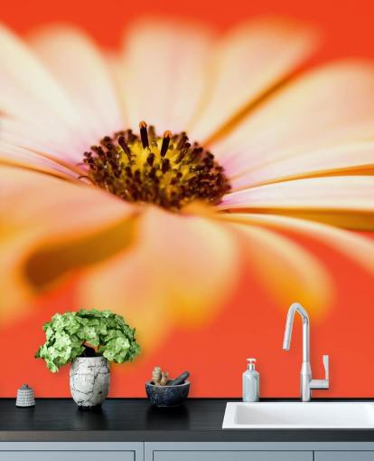 Papel de parede de flor de laranja grande Papel de parede de flor de laranja grande