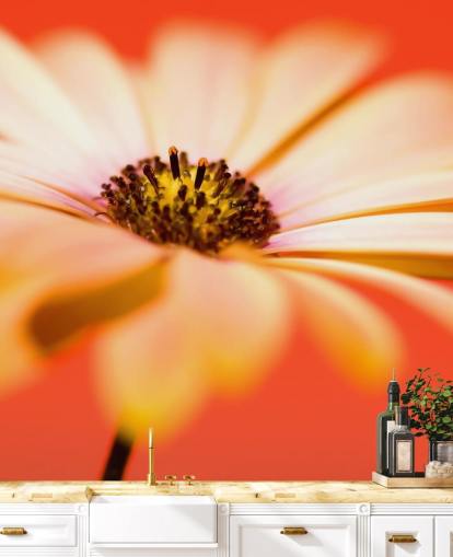 Papel de parede de flor de laranja grande