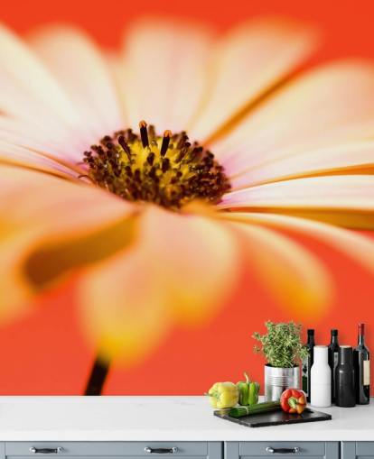 Groot oranje bloemenbehang Groot oranje bloemenbehang