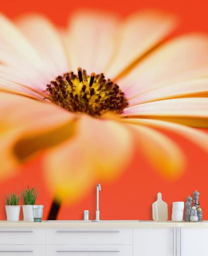 Große orange Blumentapete