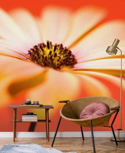 Papel de parede de flor de laranja grande