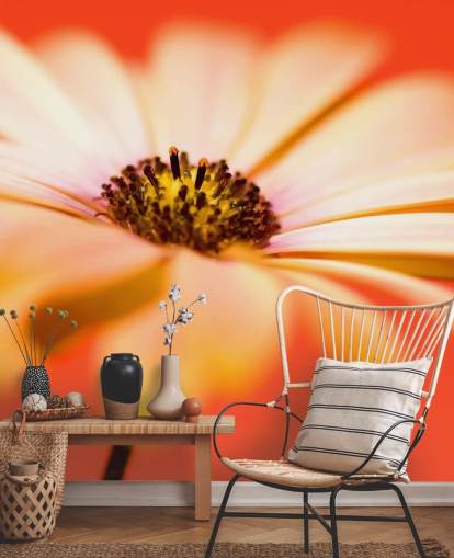 Stor orange blomst tapet