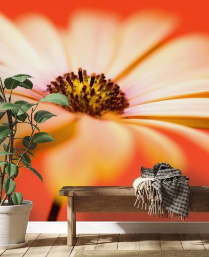 Large Orange Flower Wallpaper