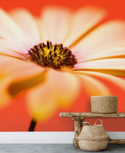 Stor orange blomst tapet