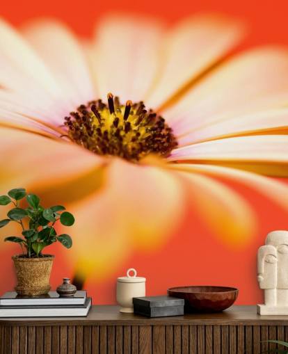 Stor orange blomst tapet