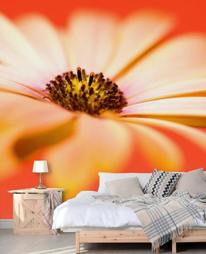 Stor orange blomma tapet