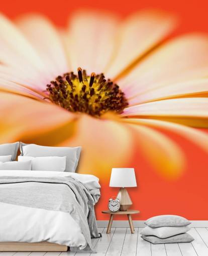 Papel pintado grande de flores de naranja