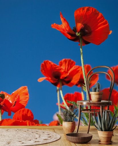 Décoration murale Coquelicots sur fond de ciel bleu Décoration murale Coquelicots sur fond de ciel bleu