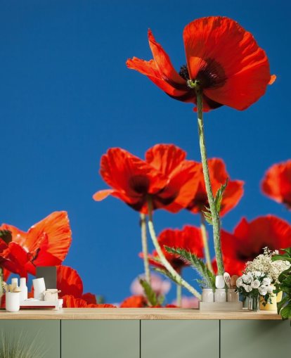 Klaprozen tegen blauwe luchtmuurschildering