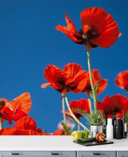 Poppies Against Blue Sky Wall Mural