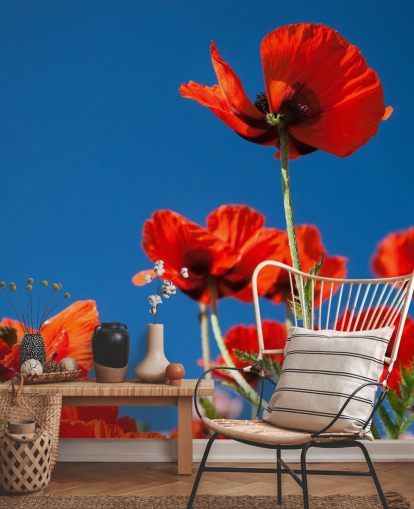 Decorazione murale con papaveri contro il cielo blu