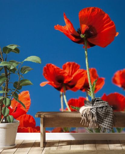 Red Poppies Floral Wallpaper