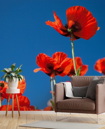 Poppies Against Blue Sky Wall Mural
