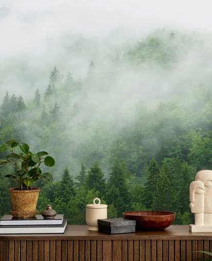 Mural de pared Niebla sobre el bosque