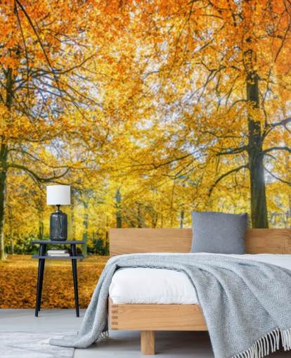 Papel Pintado Woodland