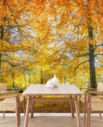 Papel de parede Woodland