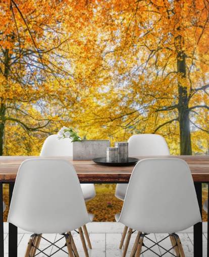 Papel Pintado Woodland