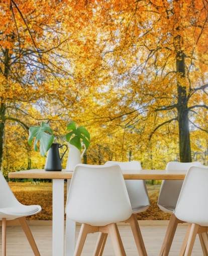 Papel Pintado Woodland