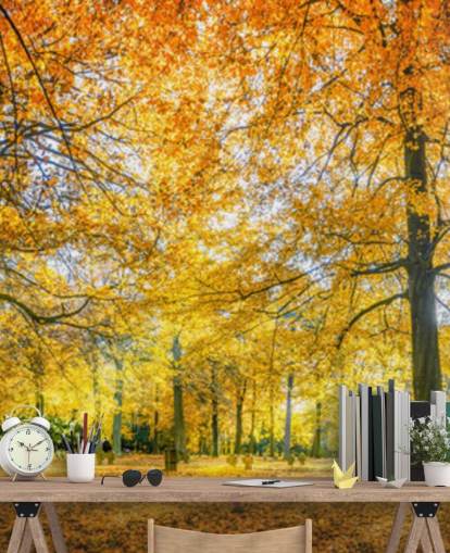 Woodland Hintergrundbild