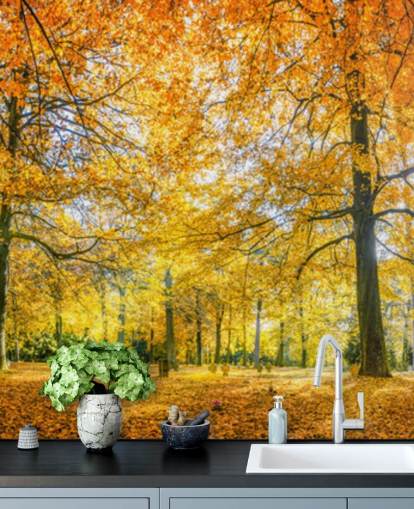 Papel de parede Woodland